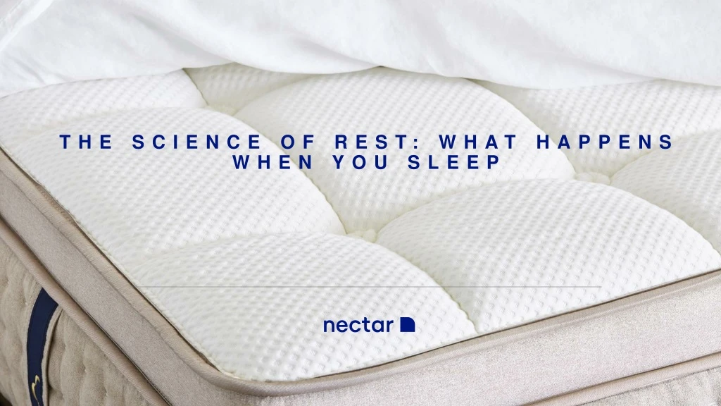 the science of rest what happens when you sleep
