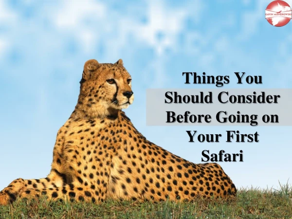 You Should Know Few Things before Going on Your First Safari