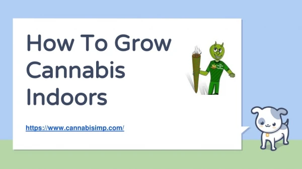 How To Grow Cannabis Indoors