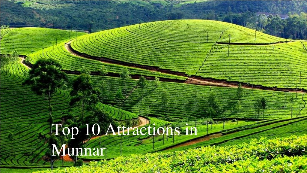 top 10 attractions in munnar
