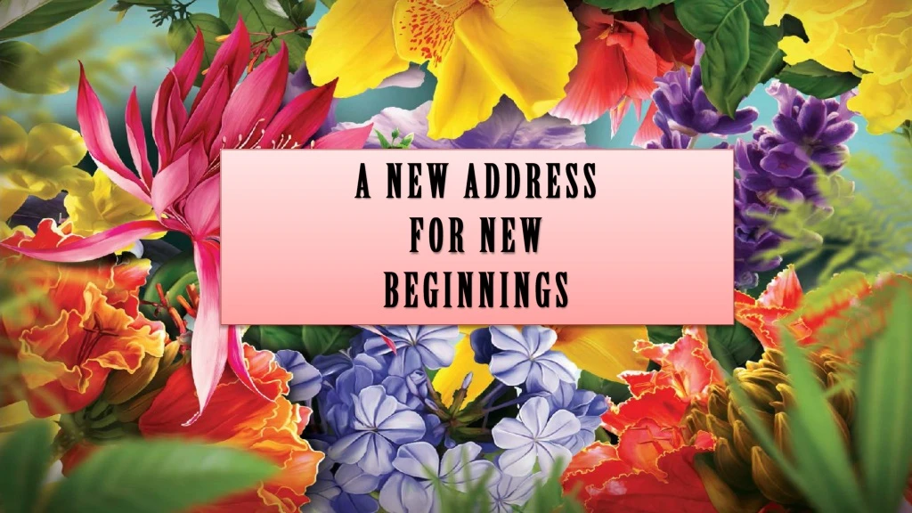 a new address for new beginnings