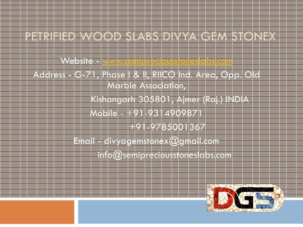 petrified wood slabs divya gem stonex