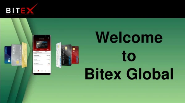 Best Payment Solution | Bitex Global Co.