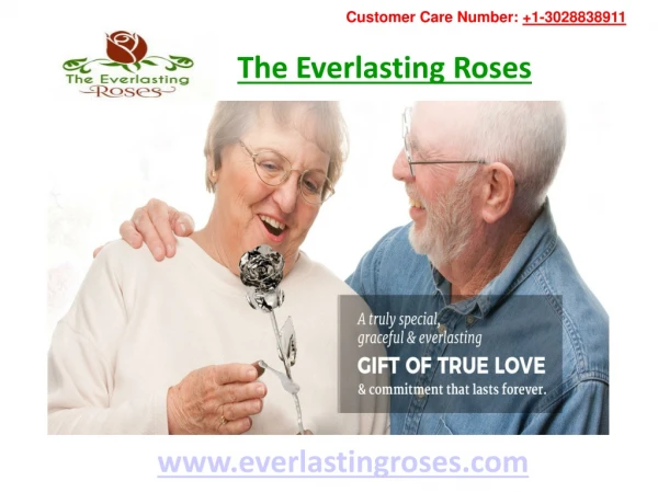 Buy Valentine's Day Gifts Online- Everlasting Roses