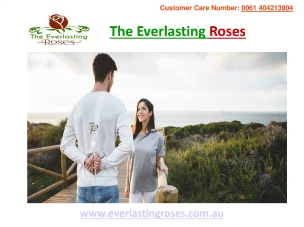 Buy Romantic Valentine Gifts Online-Everlasting Roses