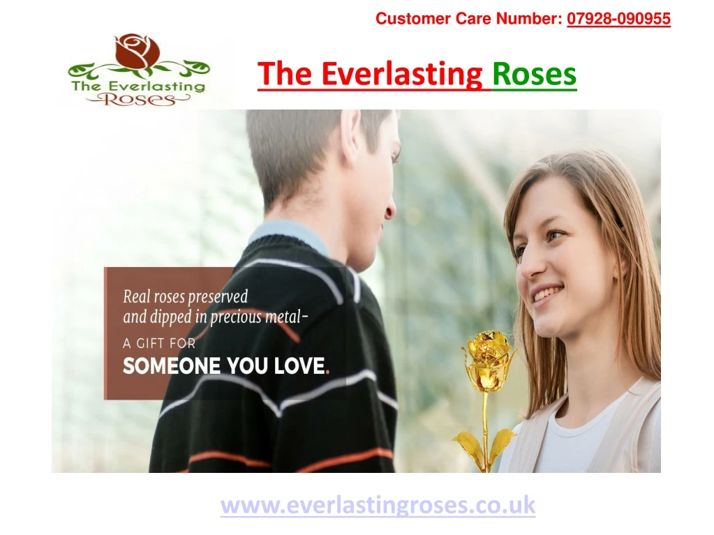 the everlasting roses