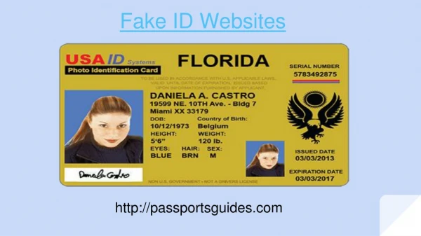 PassportsGuides | Get Real And Fake ID At An Affordable Price
