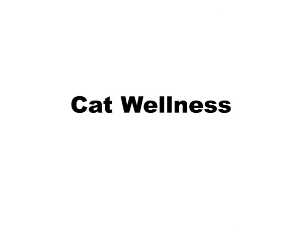 Cat wellness