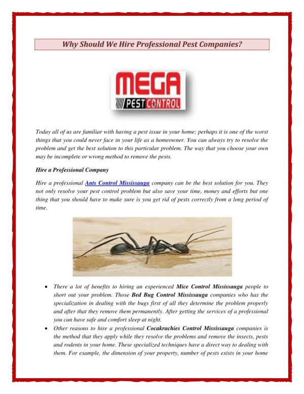 Why Should We Hire Professional Pest Companies