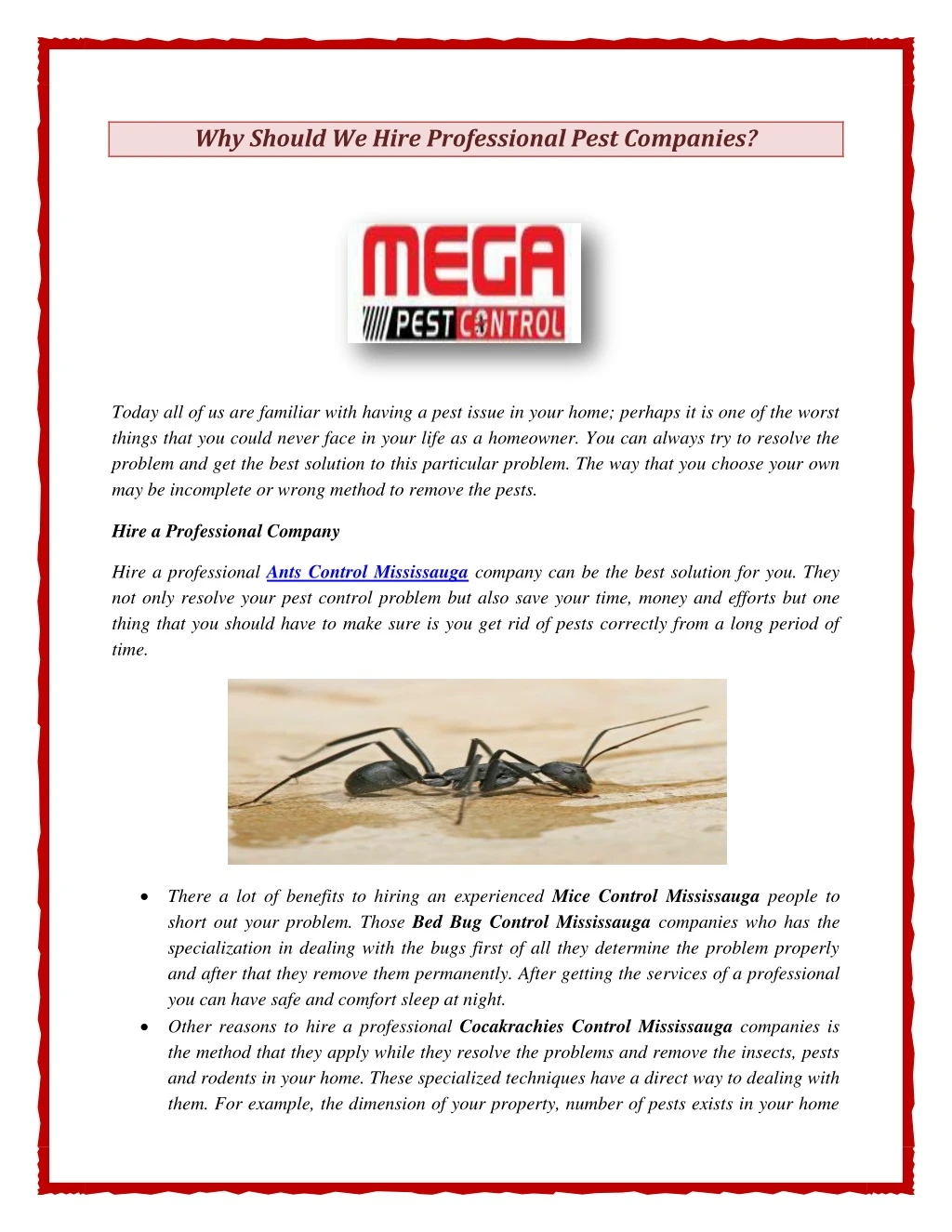 why should we hire professional pest companies