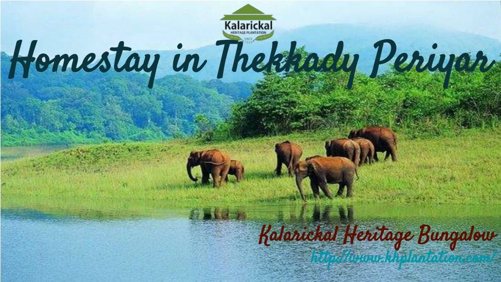 homestay in thekkady periyar