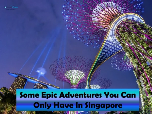 Some Epic Adventures You Can Only Have In Singapore