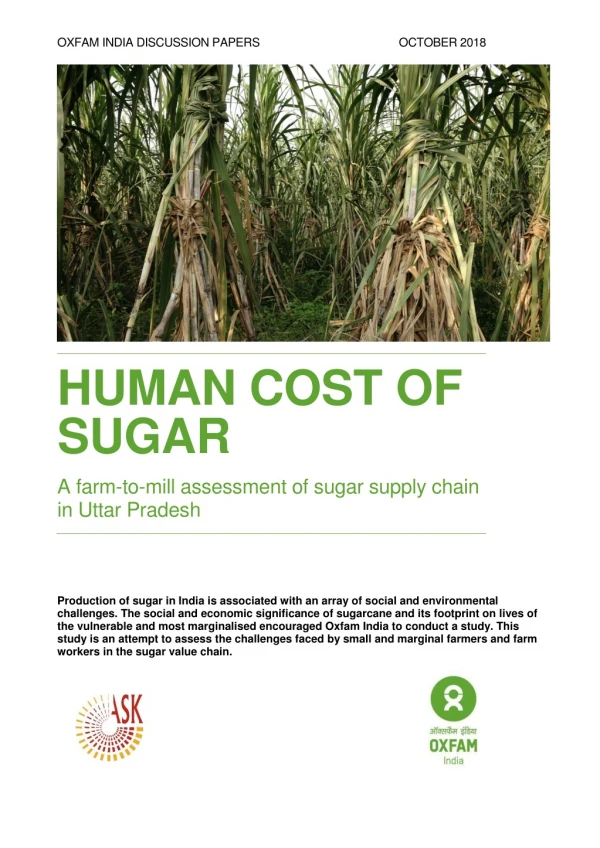 Human cost of sugar