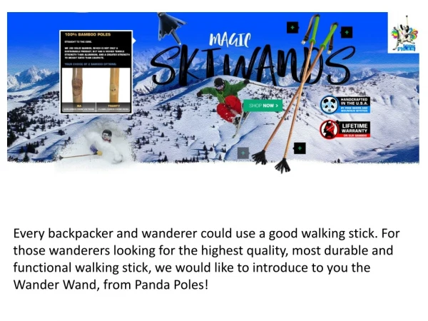Panda Poles - Best Ski Poles