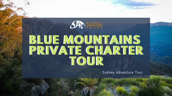 Sydney Australia Tours | Blue Mountains Private Charter Tour