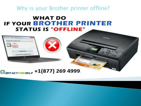 Why is your Brother Printer Offline?