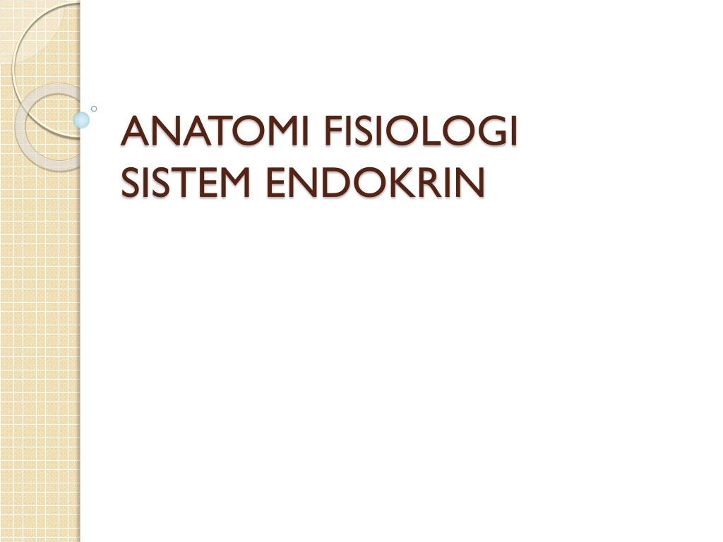 anatomi fisiologi sistem endokrin