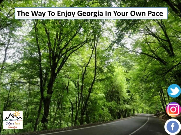 The Way To Enjoy Georgia In Your Own Pace