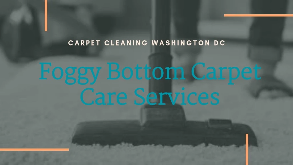 foggy bottom carpet care services