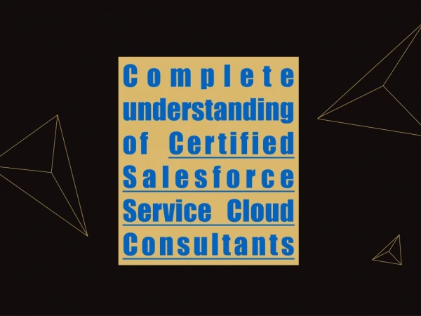 Complete understanding of Certified Salesforce Service Cloud Consultants