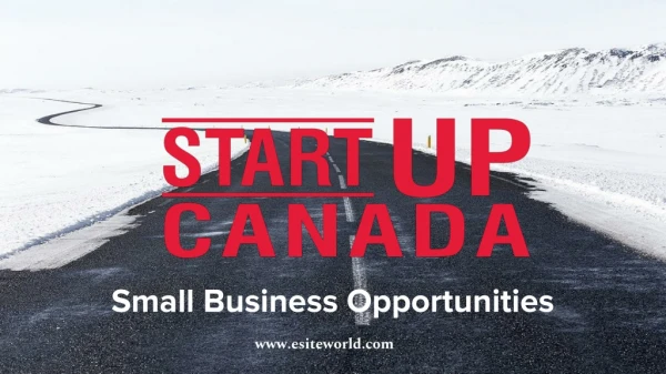 Startup Canada - Small Business Opportunities