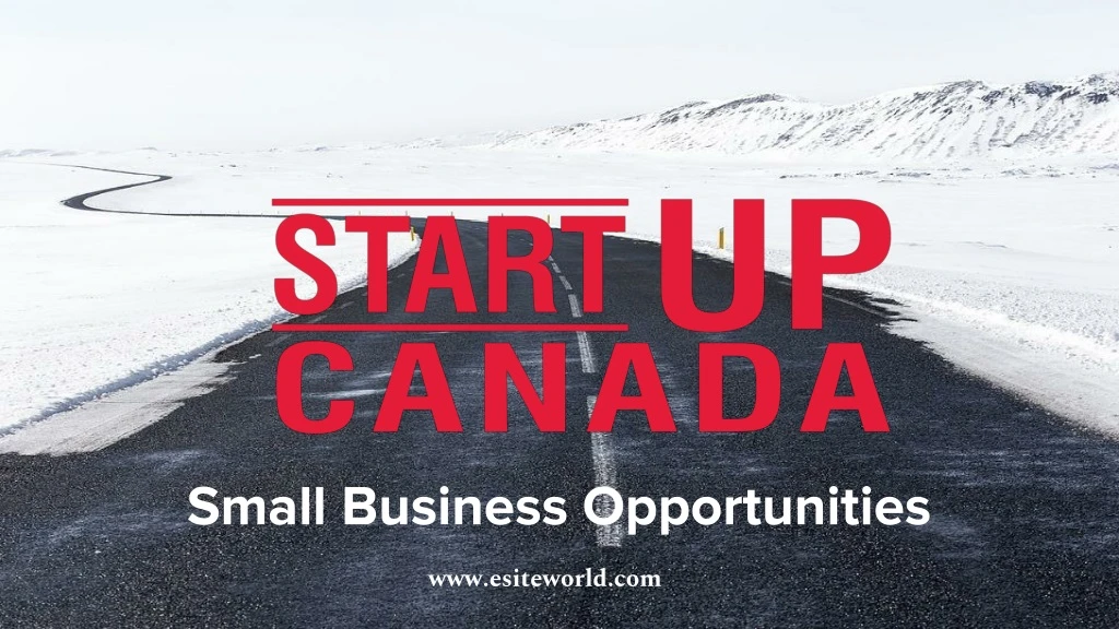 small business opportunities