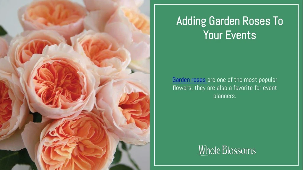 adding garden roses to your events