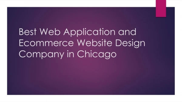 Best Web Application and Ecommerce Website Design Company in Chicago