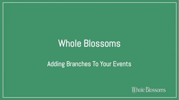 Where to Buy Floral Branches at Least Price
