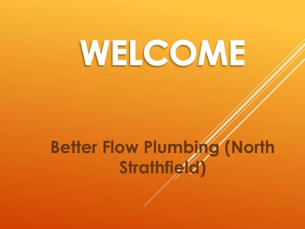 Best Plumber in North Strathfield