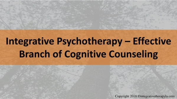 Integrative Psychotherapy – Effective Branch of Cognitive Counseling