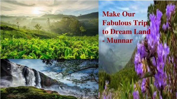 Make a Fabulous Trip to Munnar