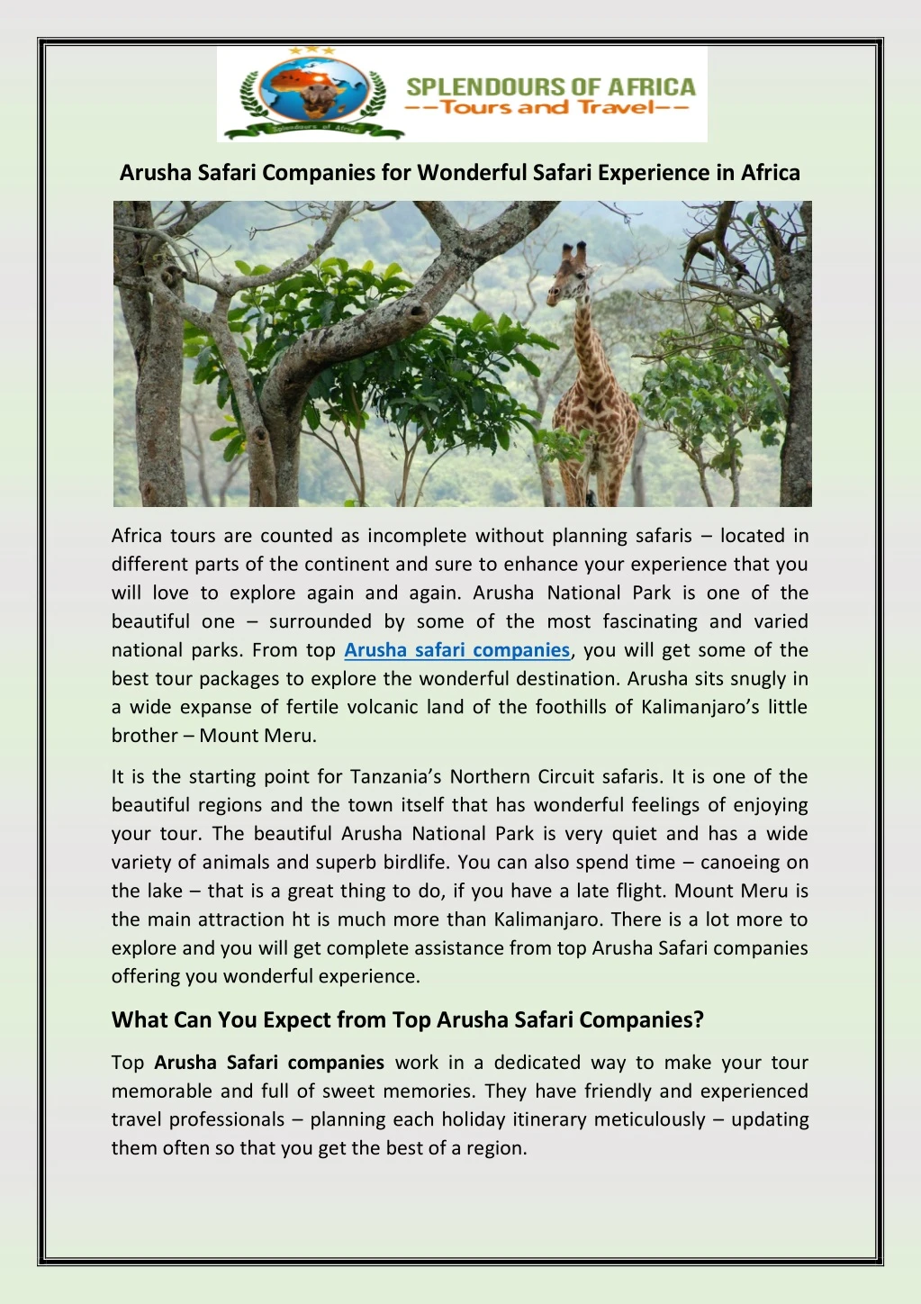 arusha safari companies for wonderful safari