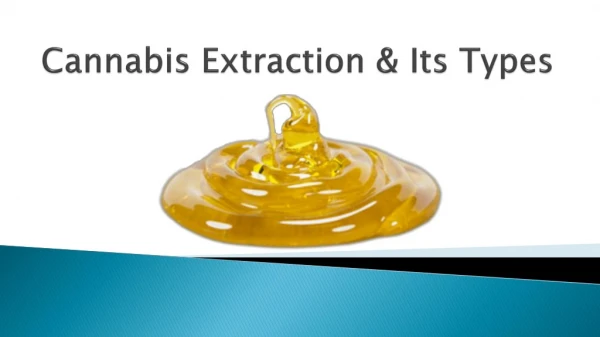 Cannabis Extraction & Its Types