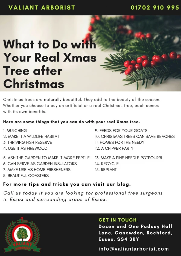 What to do with real xmas tree after christmas - Valiant Arborist