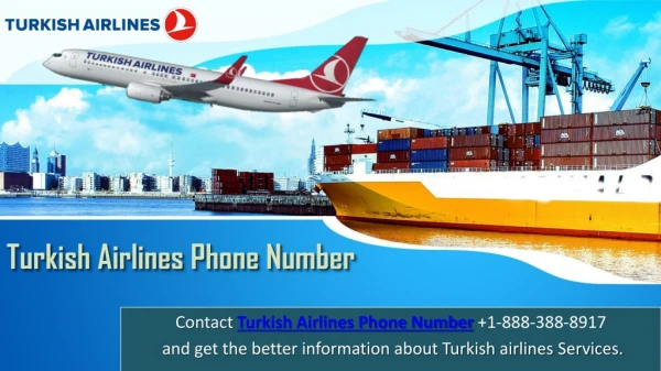 Get Discounted Turkish Airline Tickets Call Us 1 888 388 8917 Now