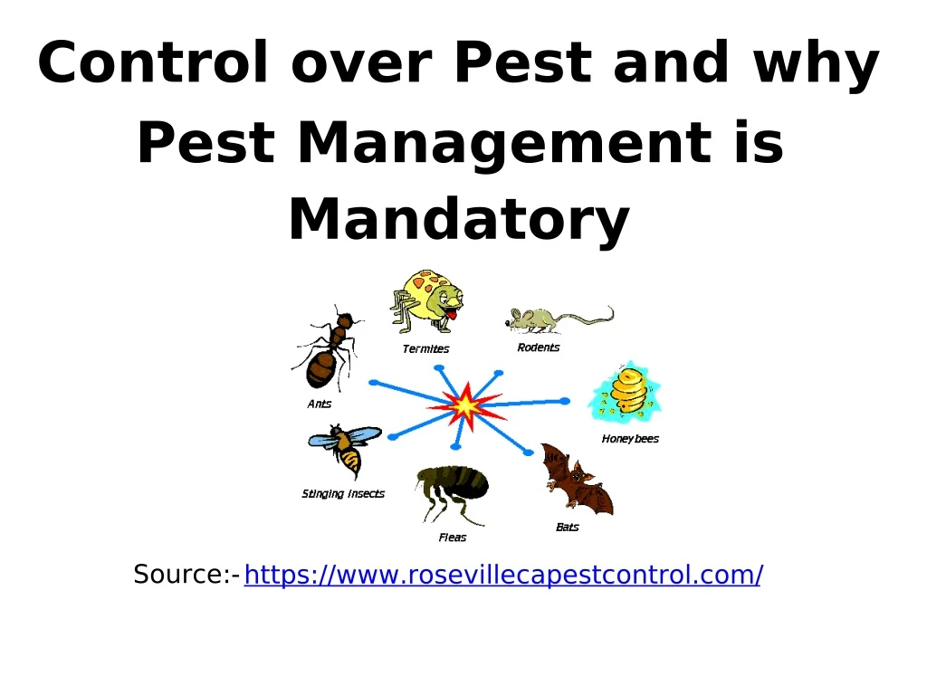 control over pest and why pest management