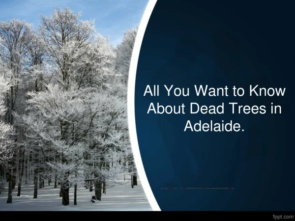 All You Want to Know About Dead Trees in Adelaide.