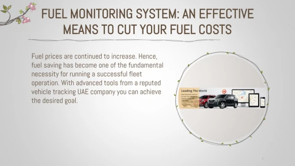 Fuel Monitoring System: An Effective Means To Cut Your Fuel Costs