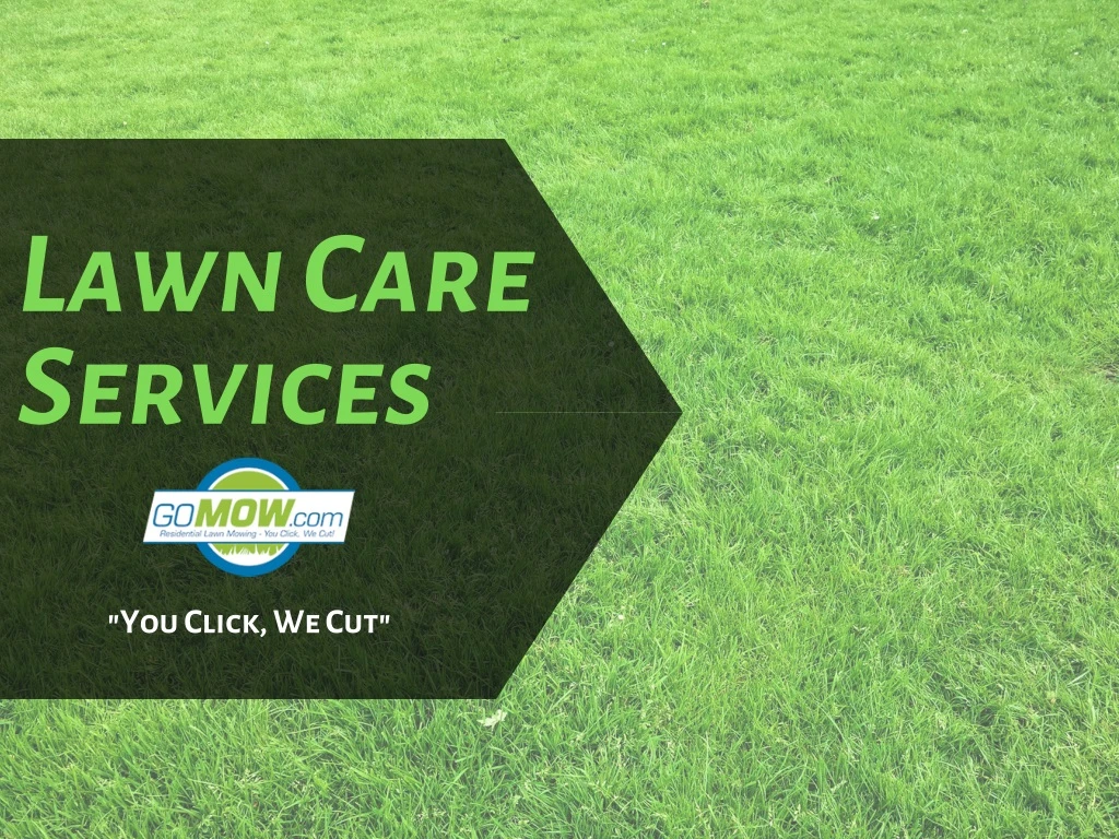 lawn care services