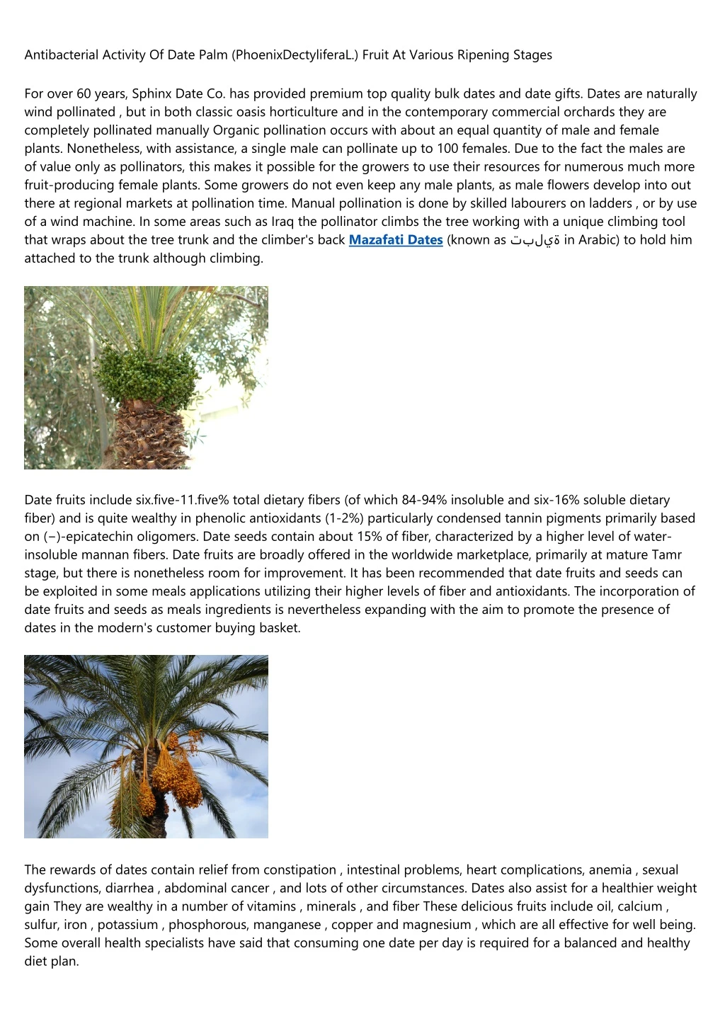 antibacterial activity of date palm