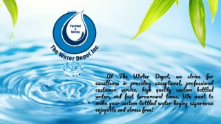 The Water Depot