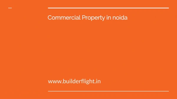 Commercial Property in noida