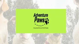 Dog Walking Service in Santa Monica - slide 1