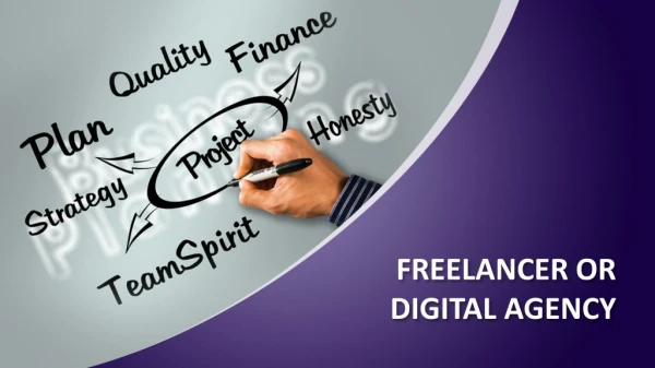 Freelancer Or Digital Marketing Agency?