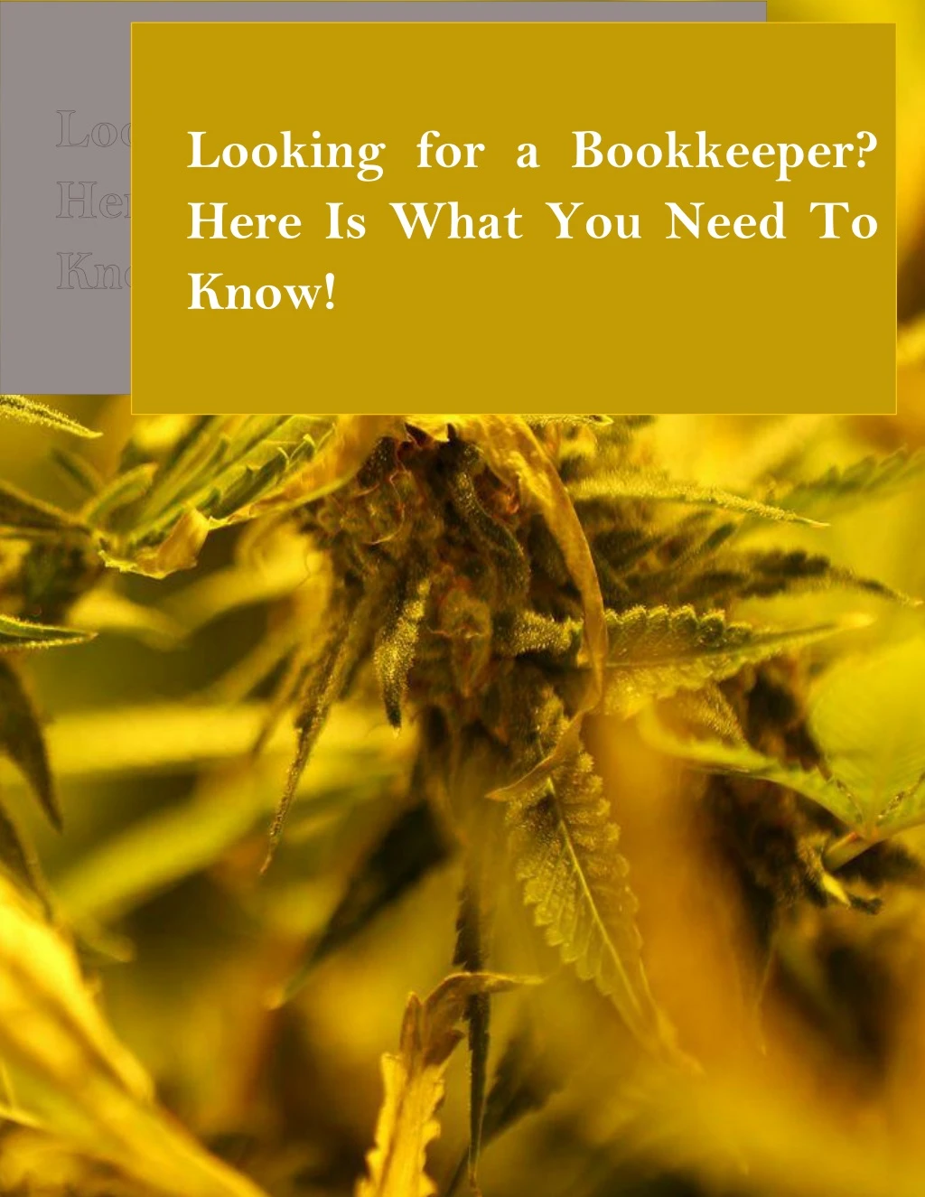 looking for a bookkeeper here is what you need