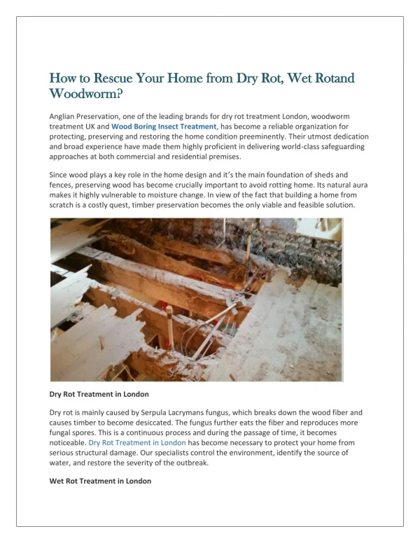 How to Rescue Your Home from Dry Rot, Wet Rotand Woodworm?