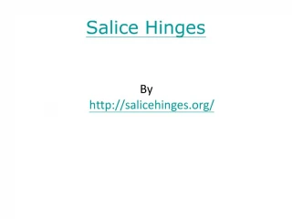 Salice Hinges - slide 1