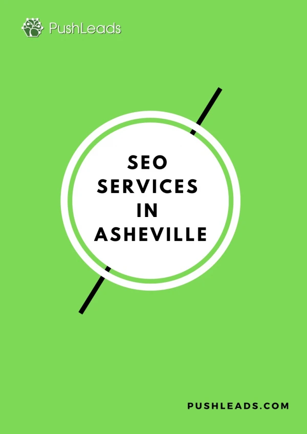 SEO Services in Asheville