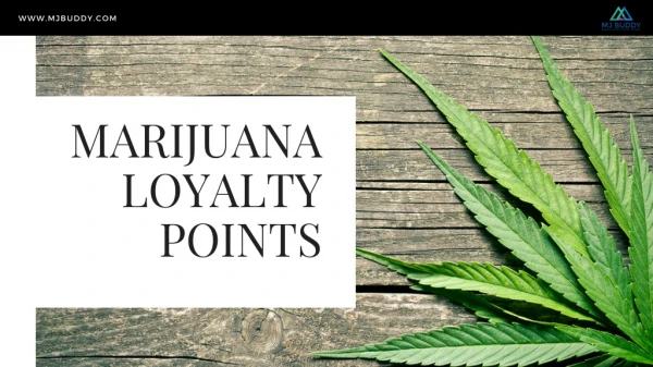 Marijuana Loyalty Points
